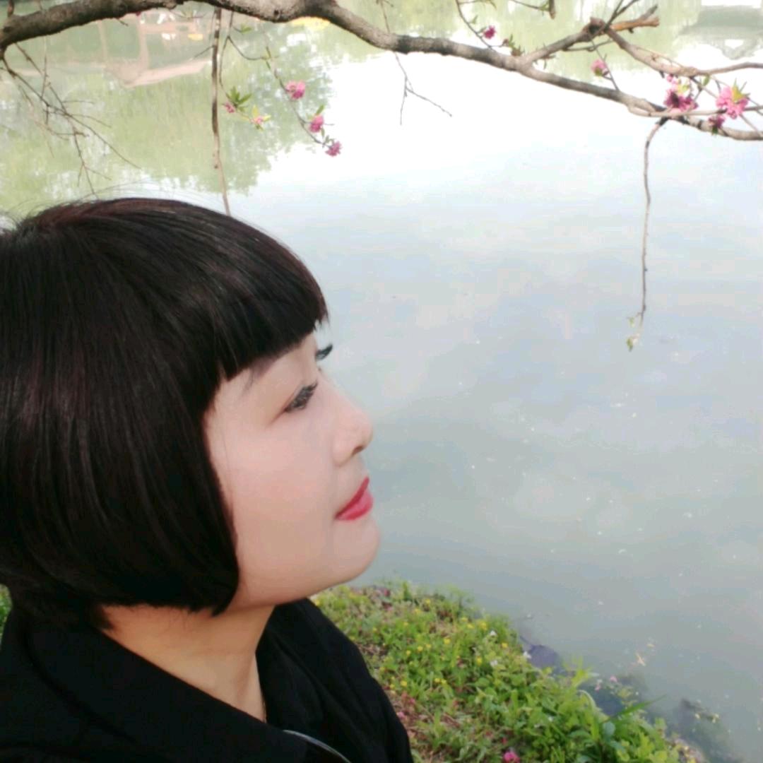 金阳光礼仪
