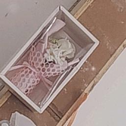 ♡̶不̶碰̶感̶情̶