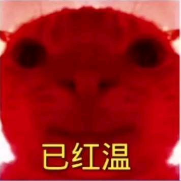 匆匆那年