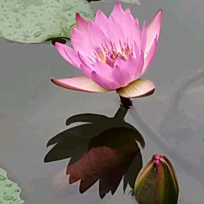 月亮之上