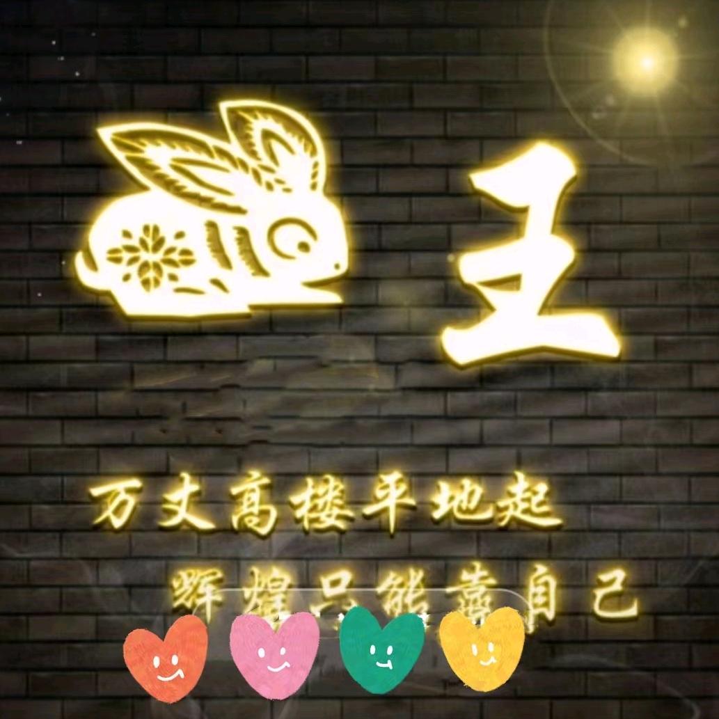 孤心亦寒