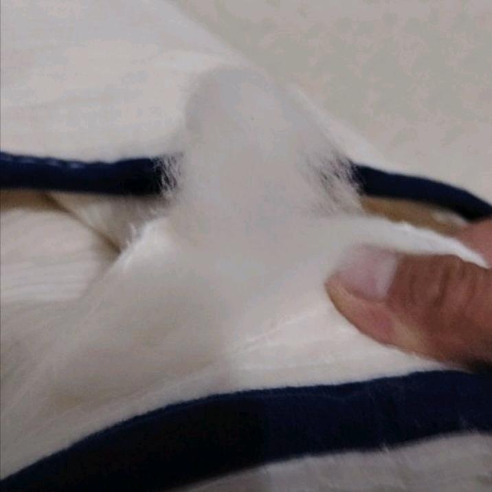 王家老三/橱窗甄选