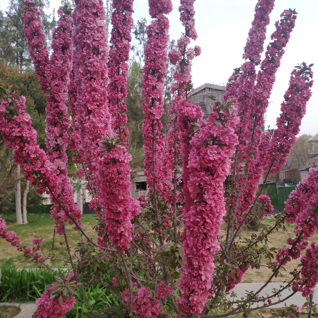 (●'◡'●)海阔天空(●'◡'