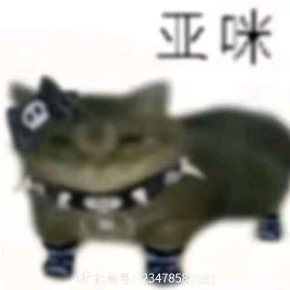 AE都市恐怖故事