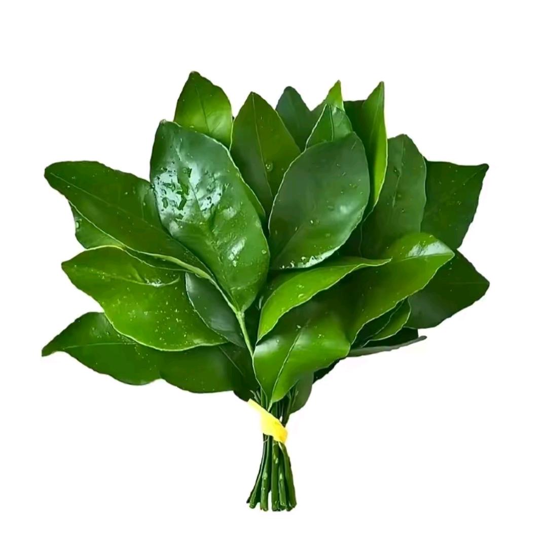 張老师👨🏻‍🏫