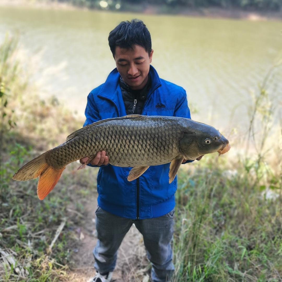 窝子没鱼虾扯蛋