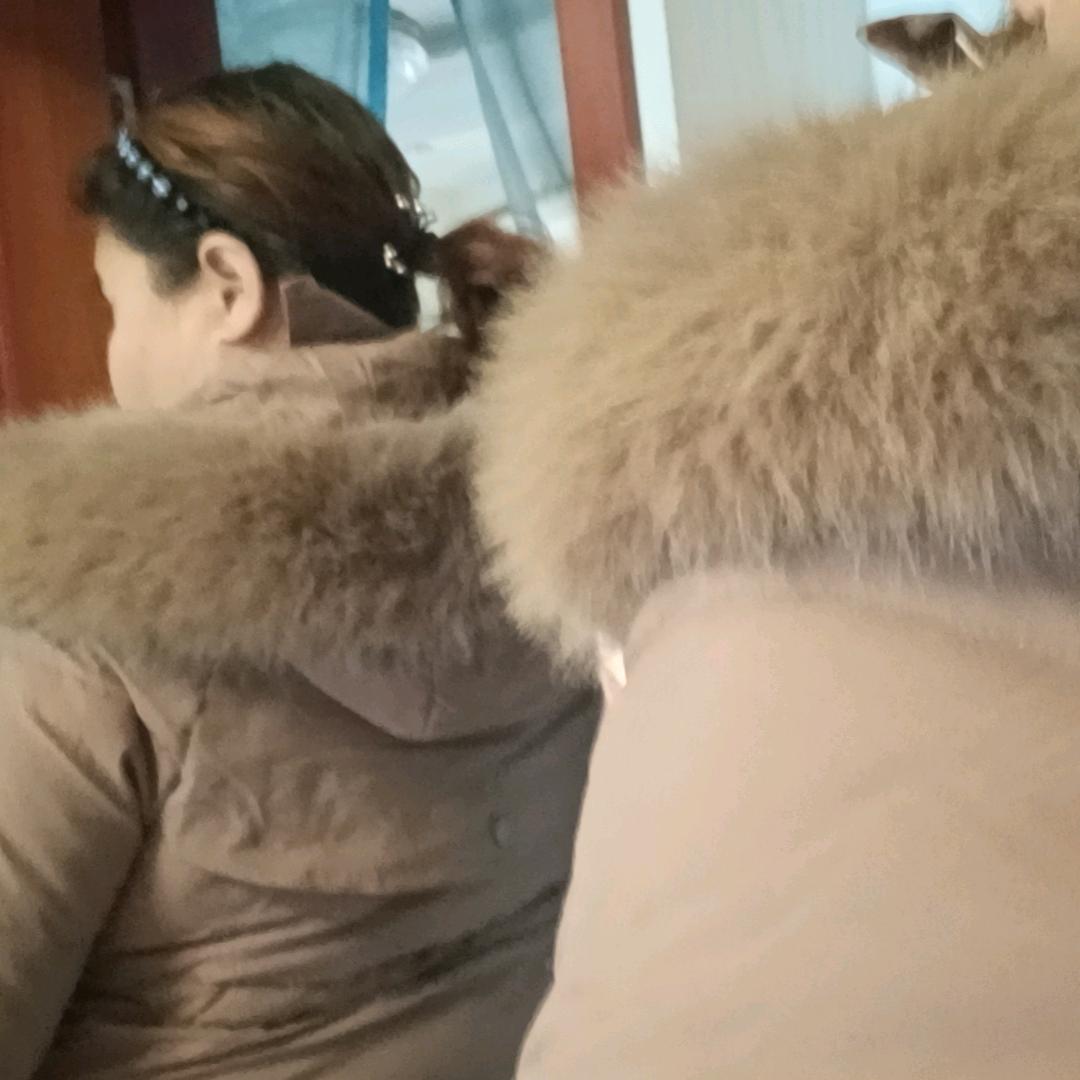 周侠