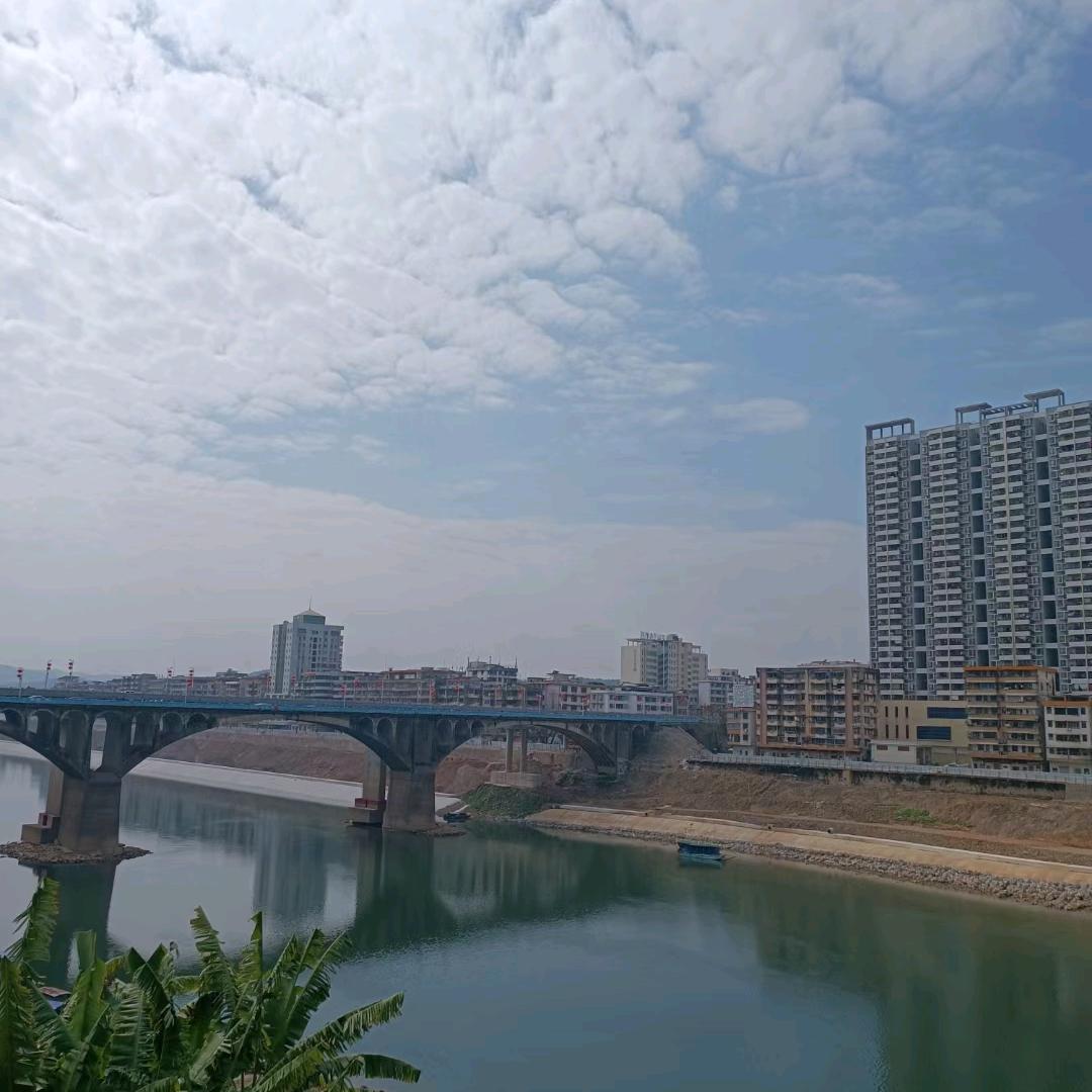 小蔡