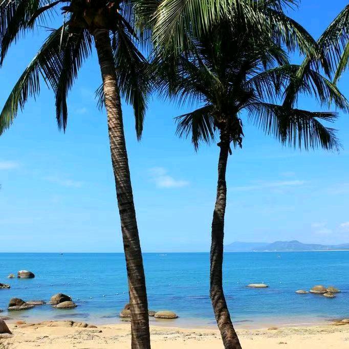 人生路（房屋出租）