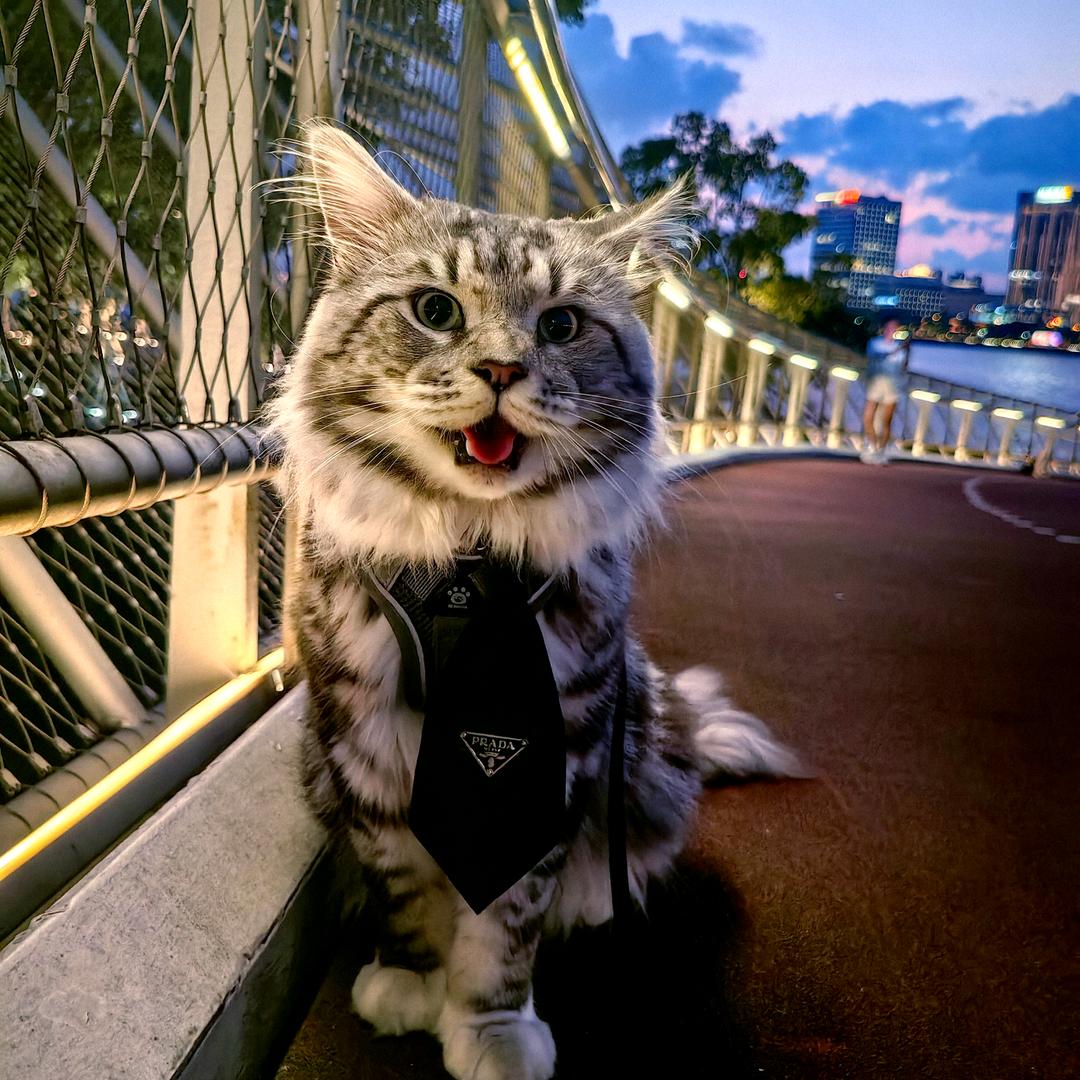 顺子的顺儿~