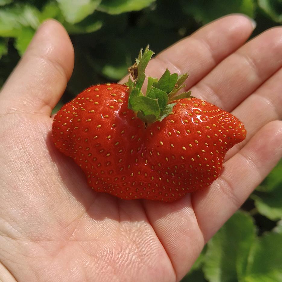 ঞ🍒兜兜꧔ꦿ᭄有钱࿐ᩚ