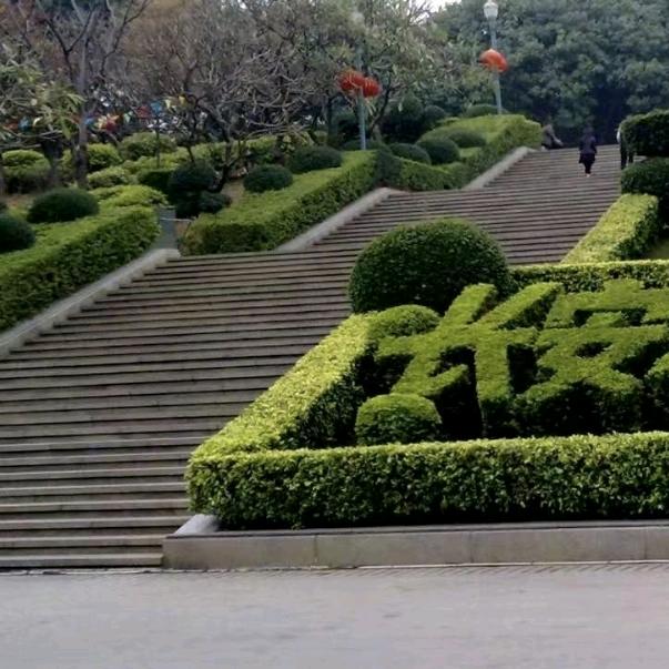 找个爱的女人