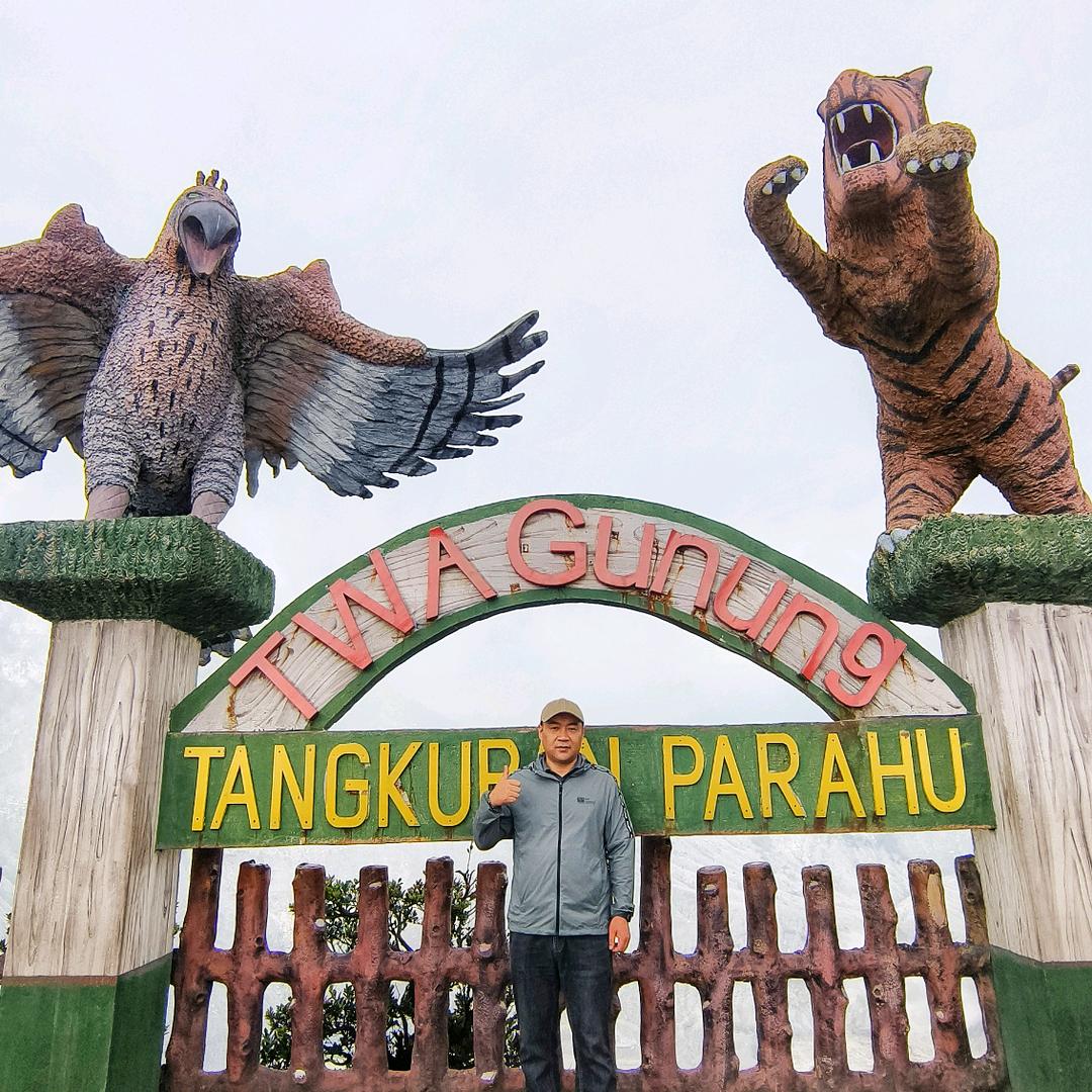 振清 印尼铝扣板吊顶厂家直供