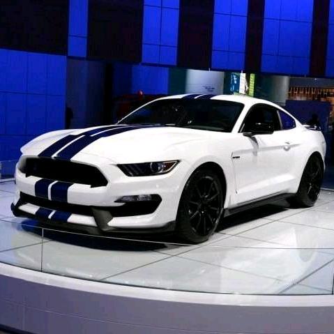 Mustang-野马