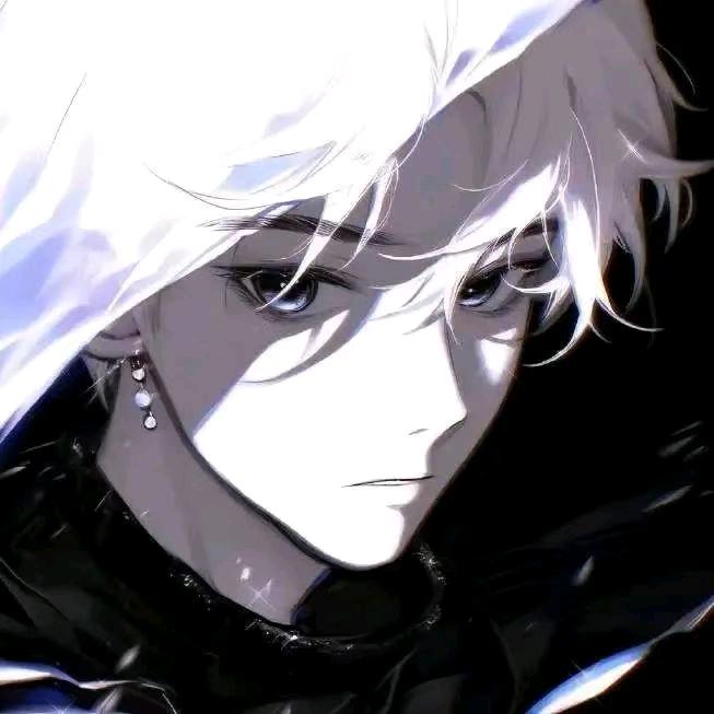 丢猫少年