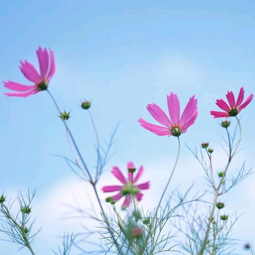 新的一年，好运连连