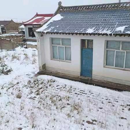 老马哥