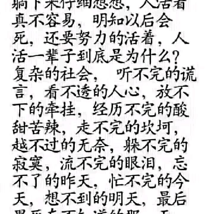 独来独往又自在