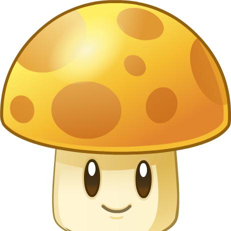 阳光菇（顾大）
