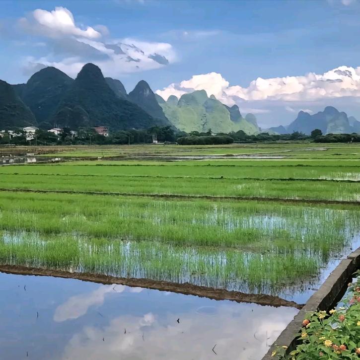 刘自达