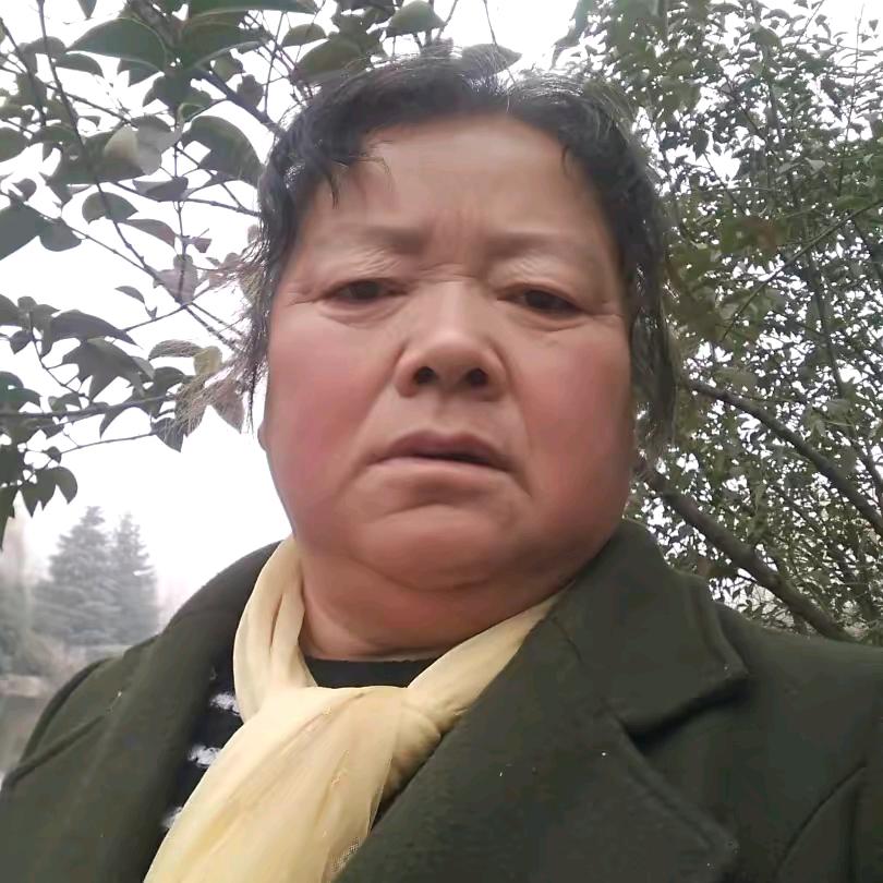 小刘