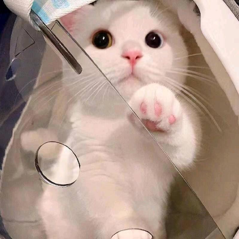 小泽