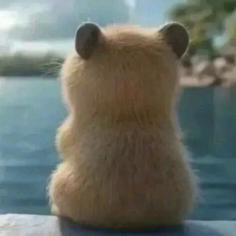 小废物ᥫᩣ༠°