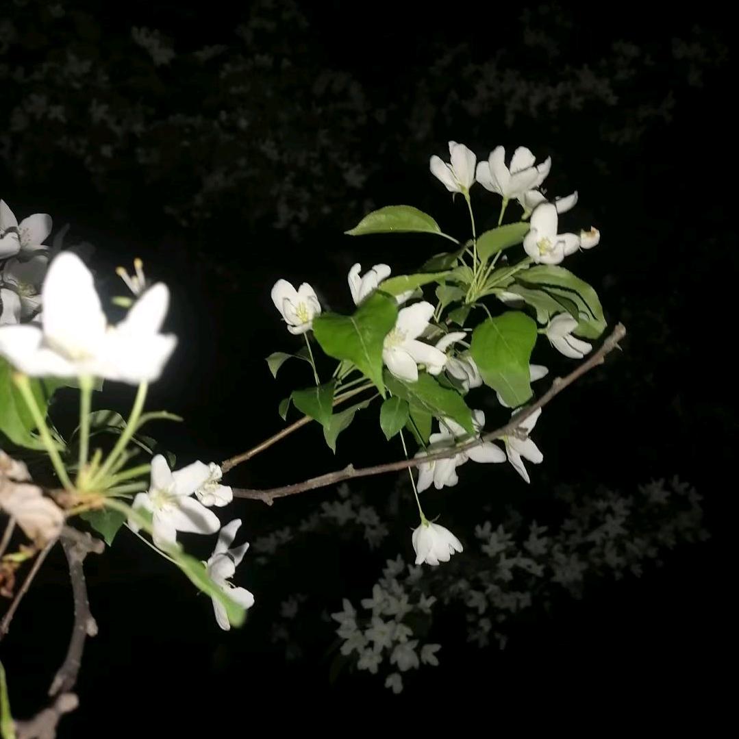 欲望不止,烦恼不断