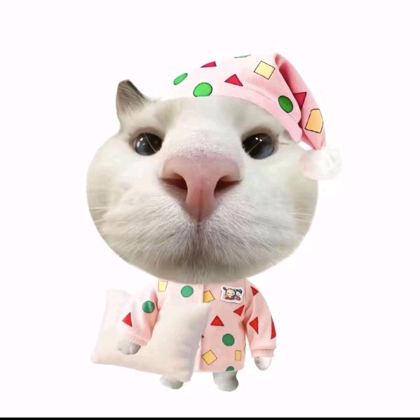 邵壮壮.