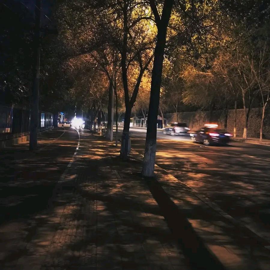 张东