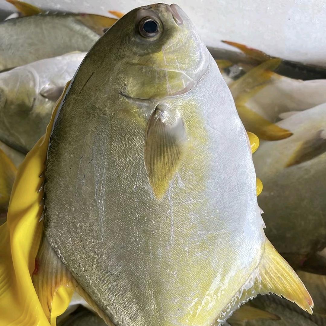 渔小弟海鲜水产店自销