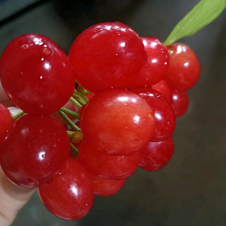 没有你🌾地球照🌾样转（小陈姐）