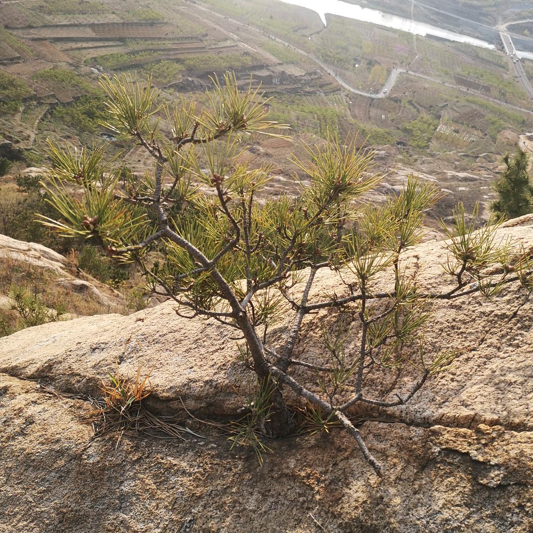 昊成再生资源回收