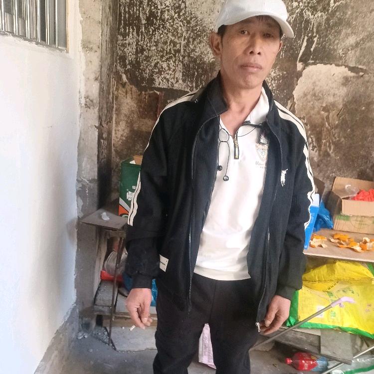 杨金毕