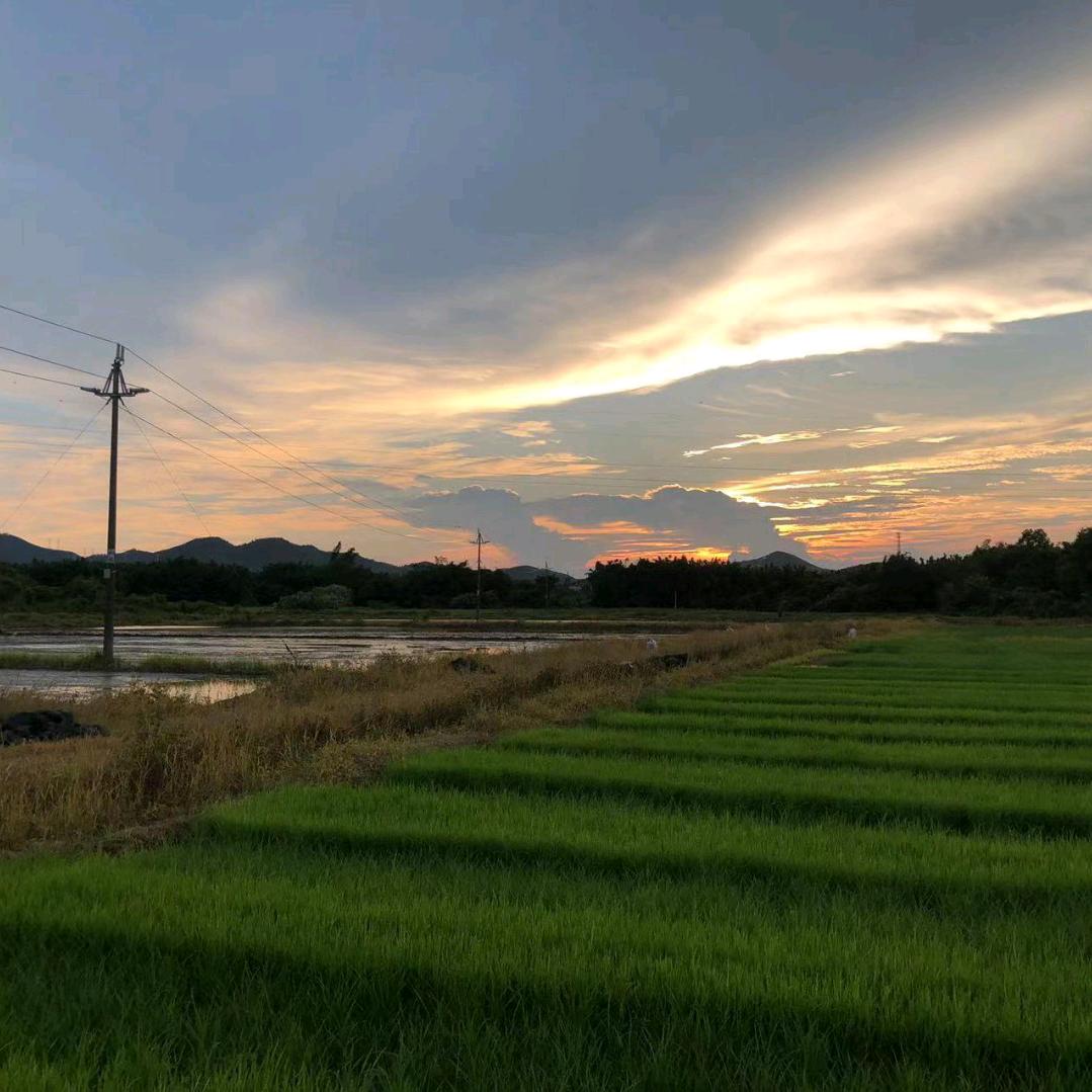 谭翠环