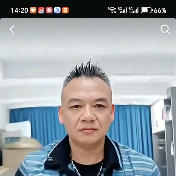 展翅高飞