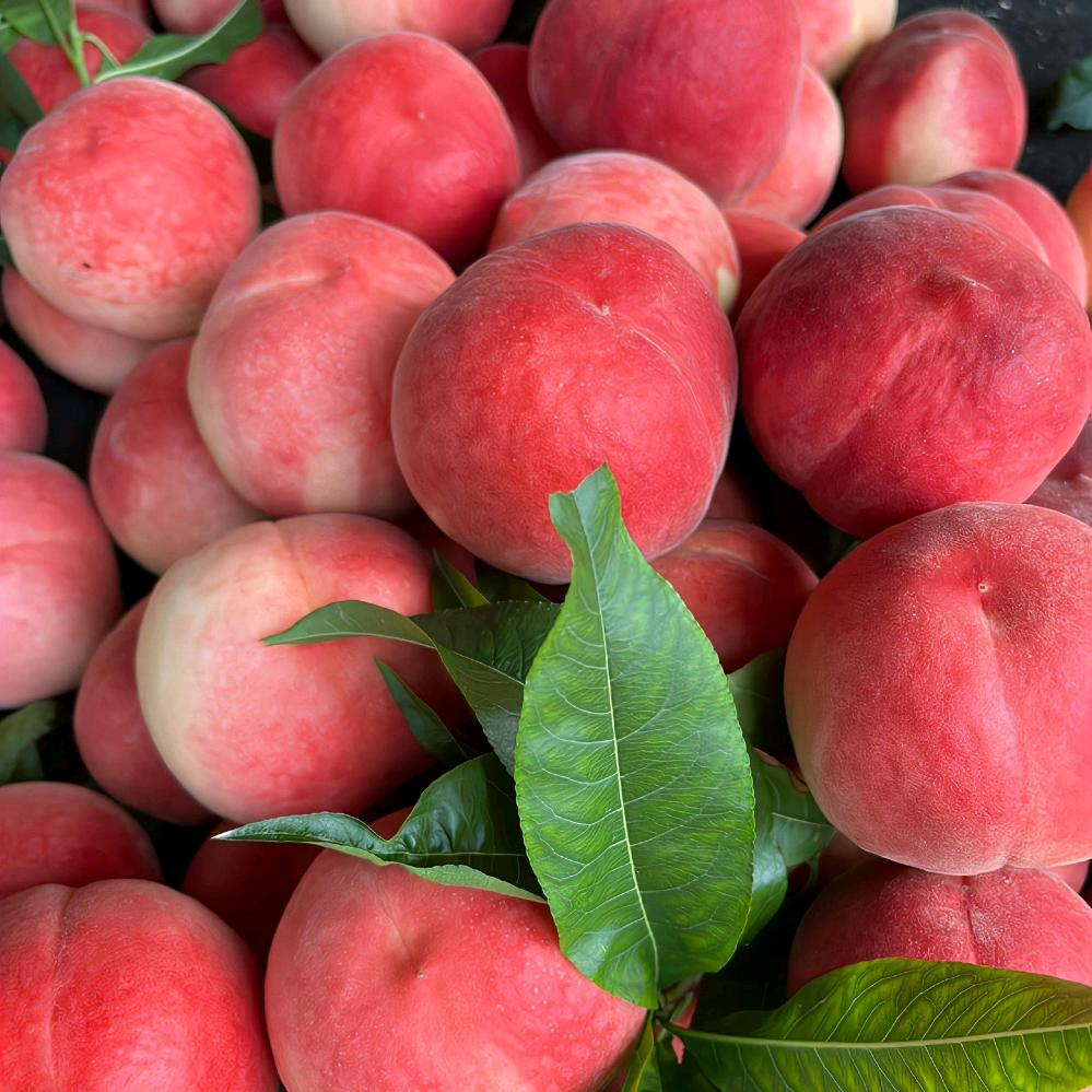 助农产品推荐馆