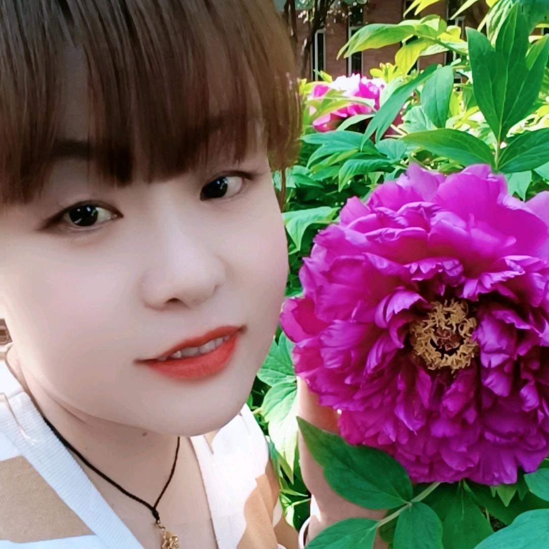 🌺简单的幸福🌺