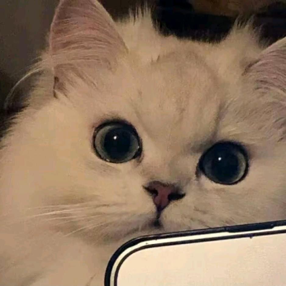 跳跳螂（回归版）