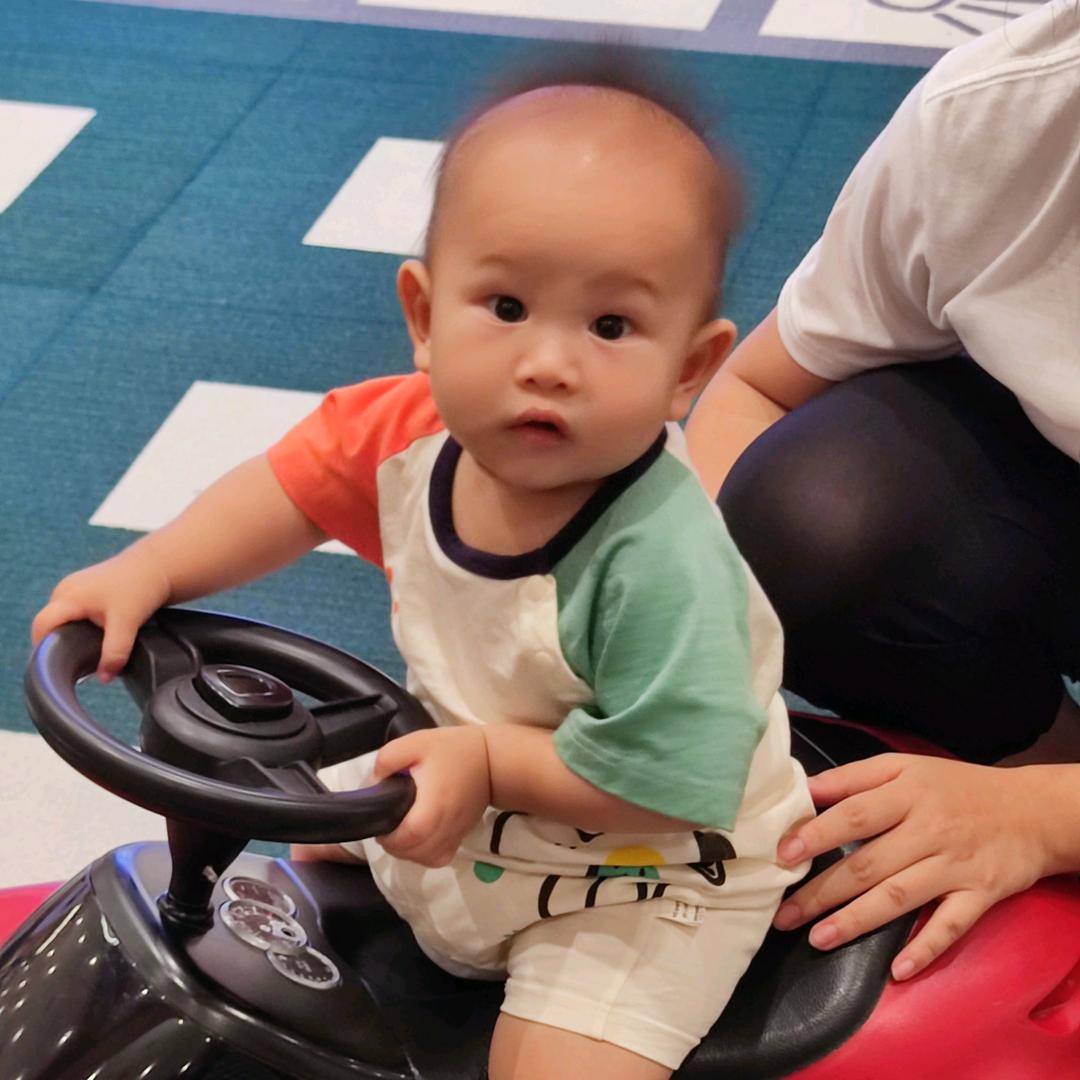 煲仔的快乐生活