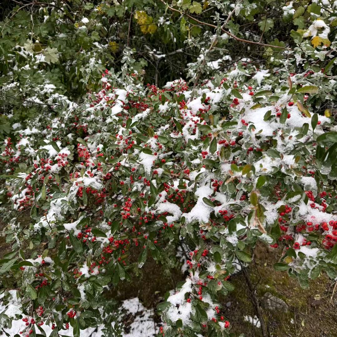 不愤怒，不激动
