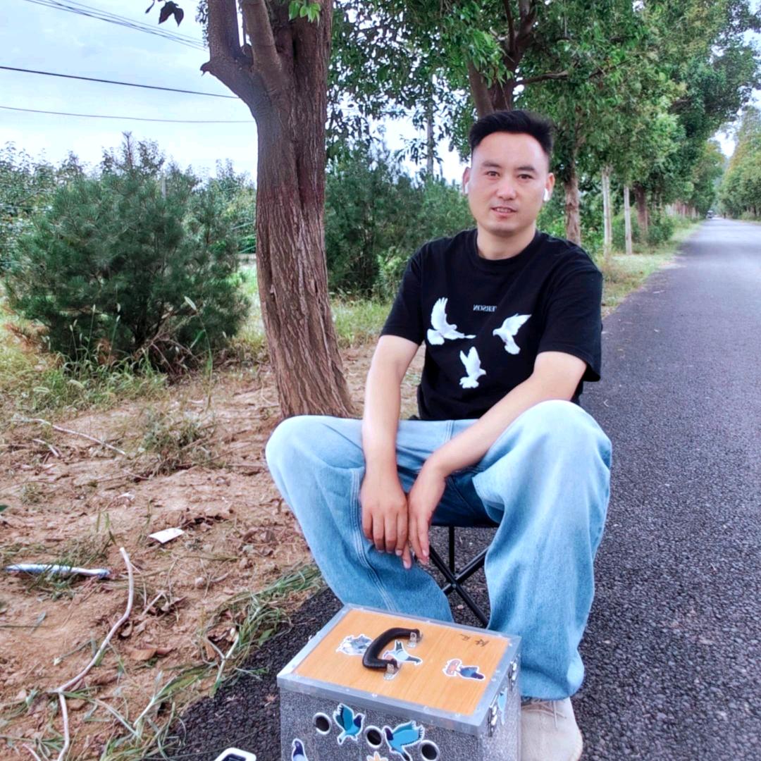 龙燕信鸽（信鸽爱好者聚集地）🕊🕊🕊