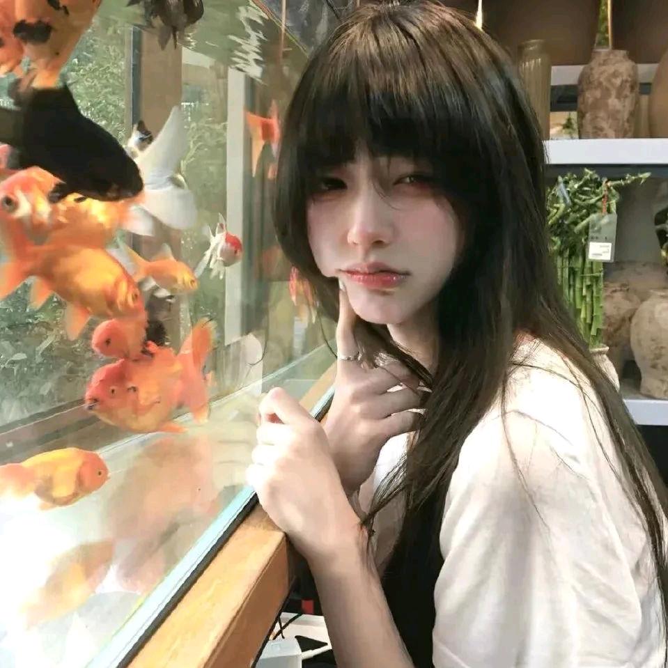 总裁便秘十年了