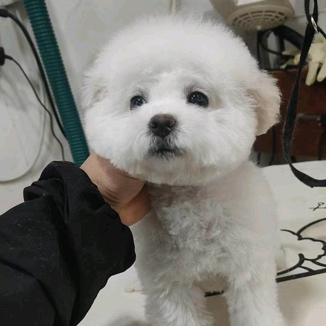 芊芊妈咪