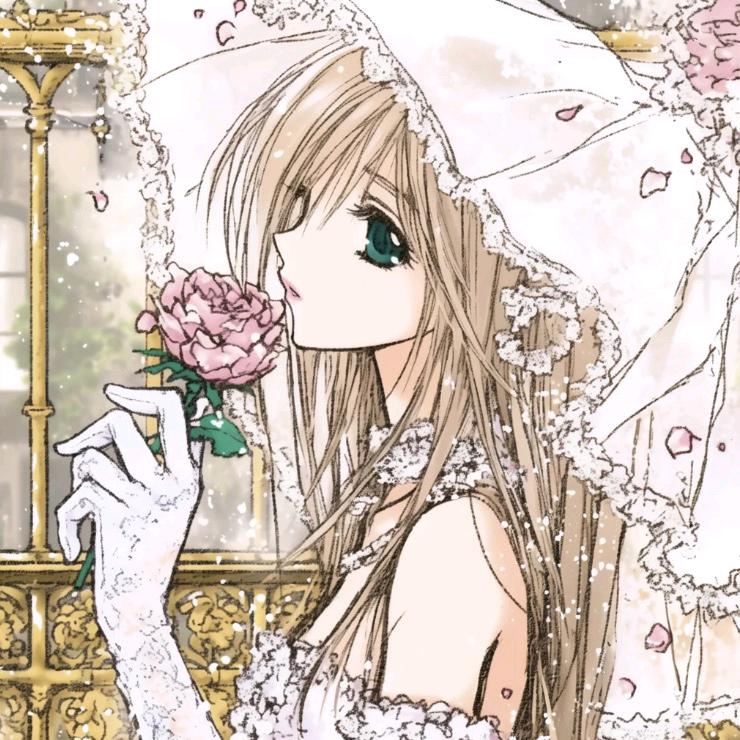 银河系Ivy