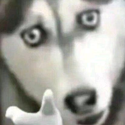 秋秋玩游戏