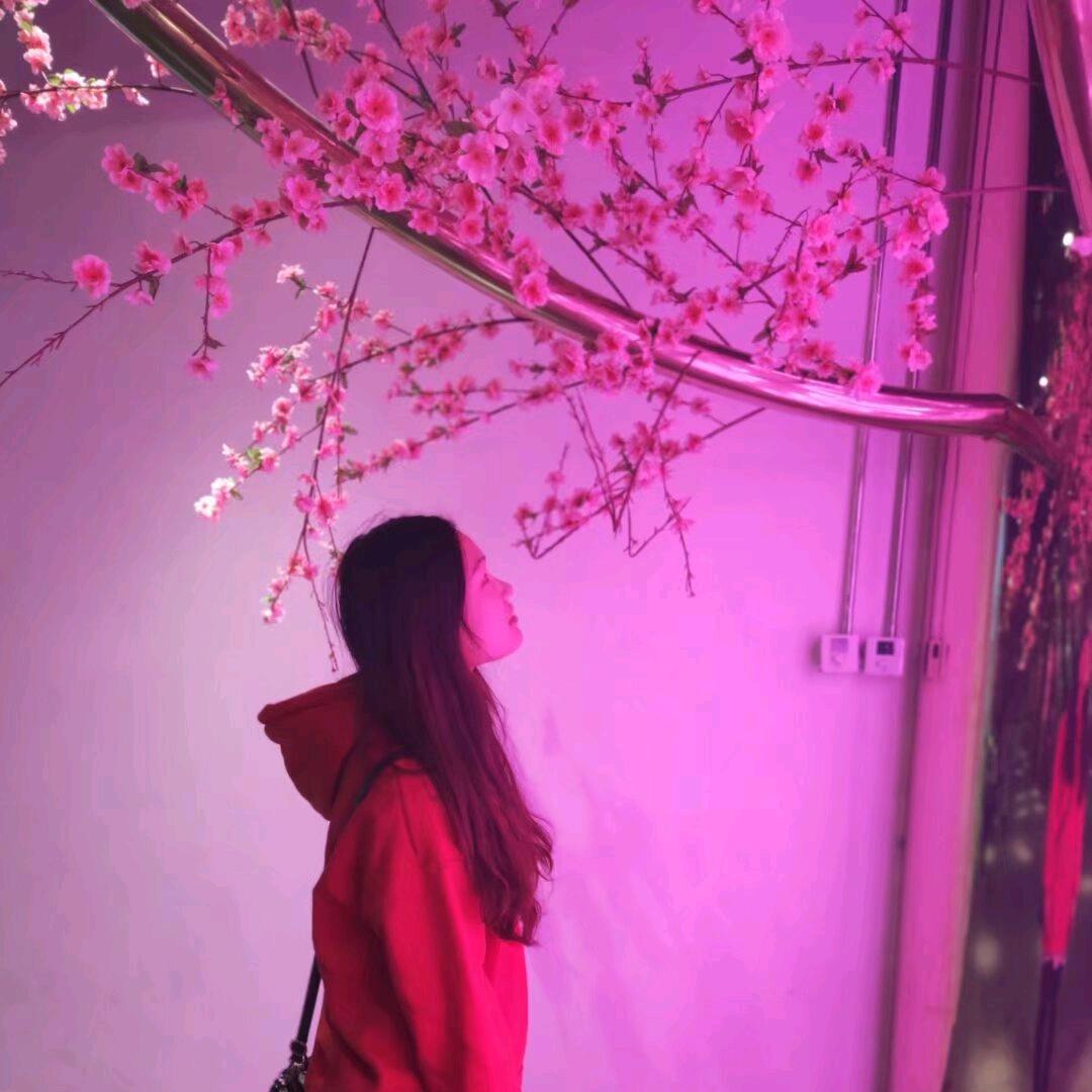 邓邓邓邓晓敏同学