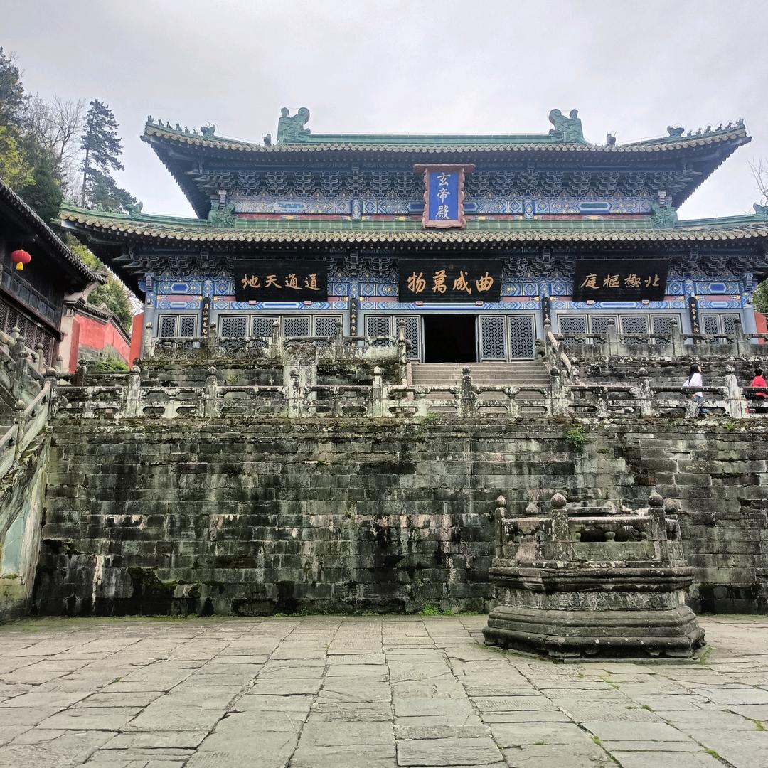24941652358常年青