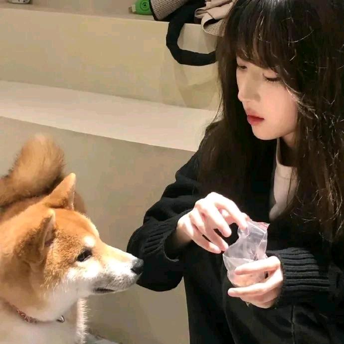 山茶月
