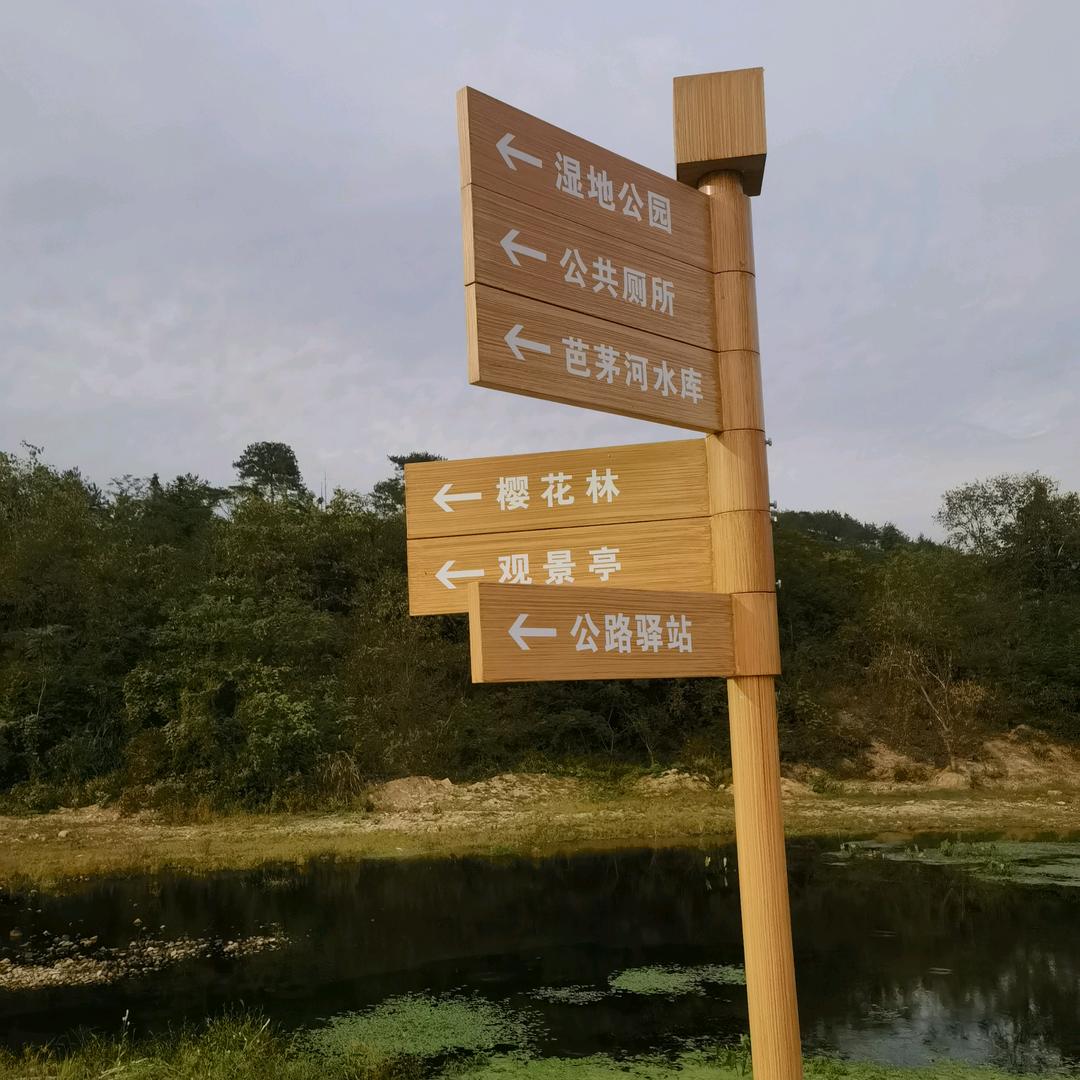 向左向右